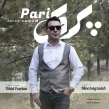 دانلود آهنگ جدید جواد عماری به نام پری